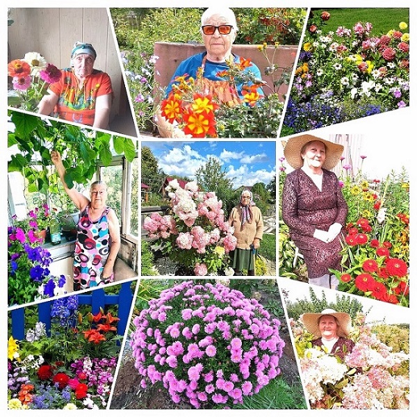 Прекрасные краски уходящего лета