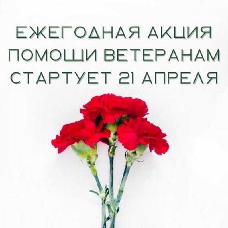 Благотворительная акция помощи ветеранам «Красная гвоздика»