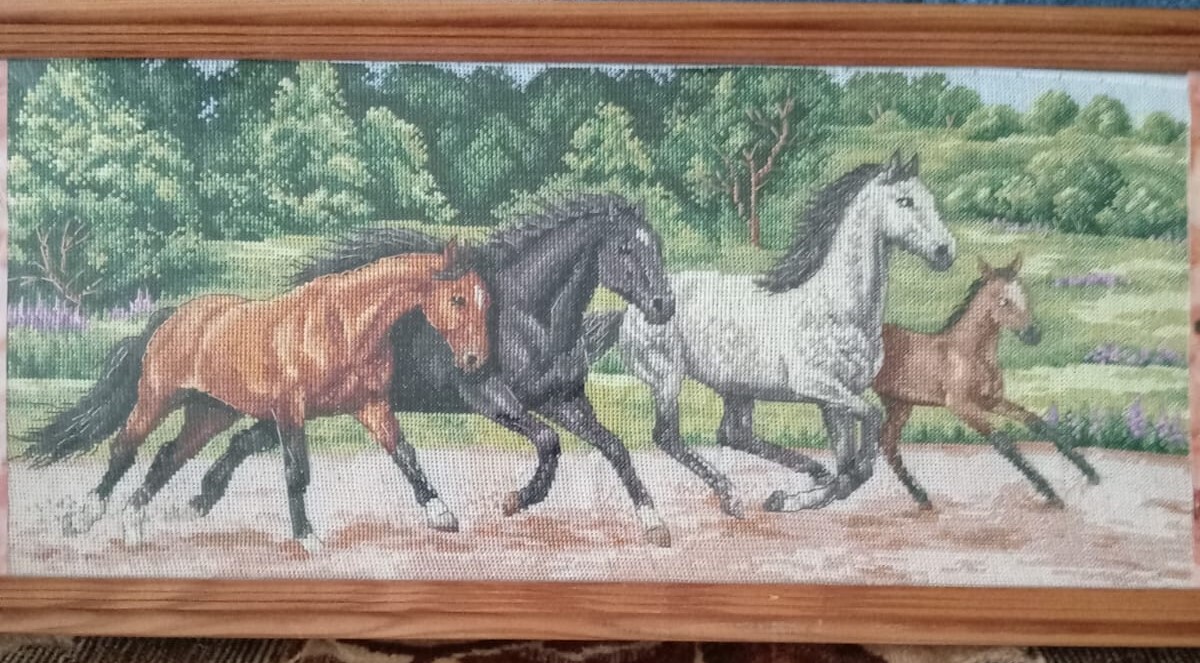 Вышивание крестиком-ее хобби.